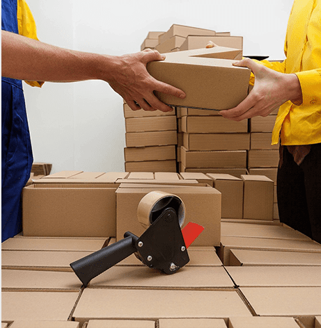 Factory Workers Packaging a Products Into a Boxes